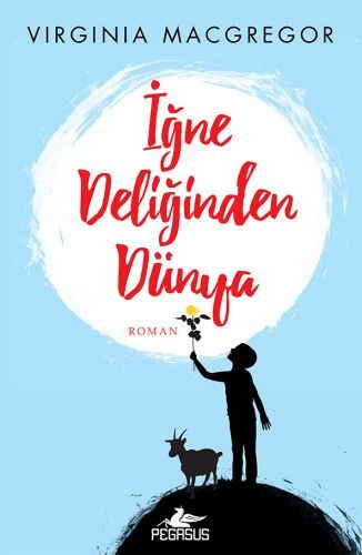 İğne Deliğinden Dünya VİRGİNİA MACGREGOR