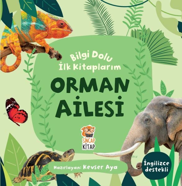 Orman Ailesi Bilgi Dolu İlk Kitaplarım KEVSER AYA