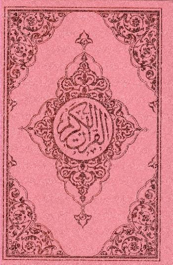 Kuranı Kerim Hafız Boy Bilgisayarlı Mavi Pembe Renk Kod 020