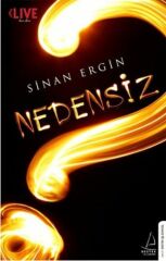 Nedensiz SİNAN ERGİN