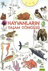 Hayvanların Yaşam Döngüsü TAKIMYILDIZ