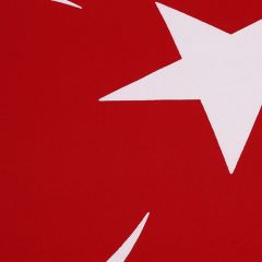 Buket Türk Bayrağı (70X105)