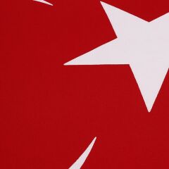 Buket Türk Bayrağı (60X90)