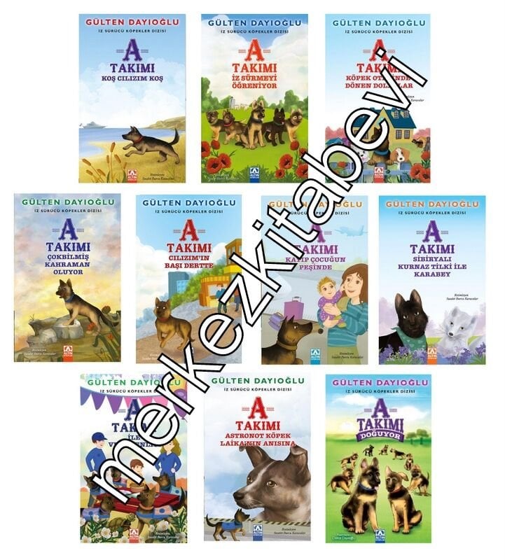 Gülten Dayıoğlu A Takımı Seti 10 Kitap