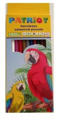 Patriot Kuru Boya Tam Boy 12 Renk